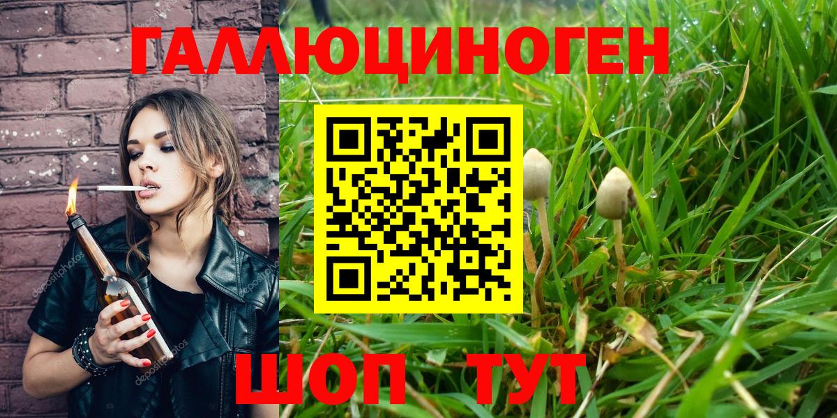 Галлюциногенные грибы Cubensis  Вход с VPN  Новоалександровск 